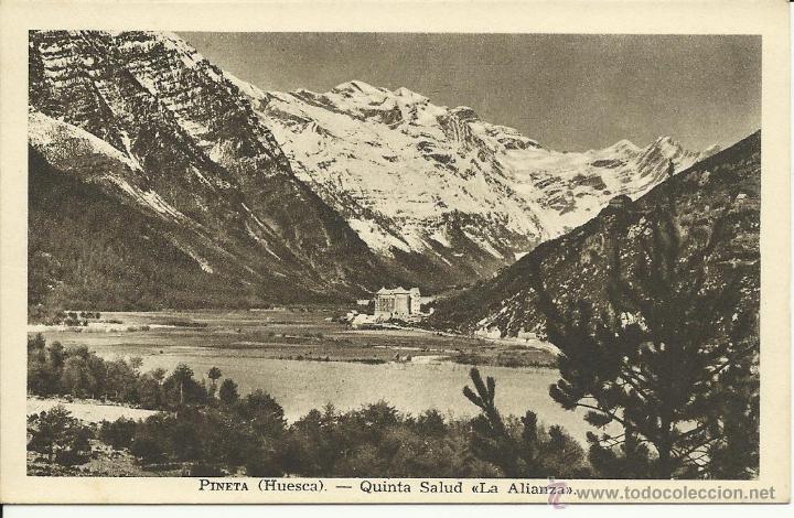 Postales: Pineta - Foto 1