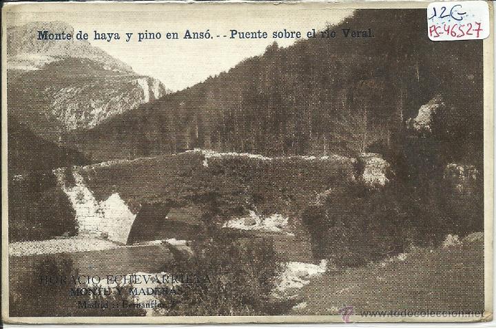 Postais: (PS-46527)POSTAL DE ANSO-MONTE DE HAYA Y PINO.PUBLICIDAD HORACIO ECHEVARRIETA