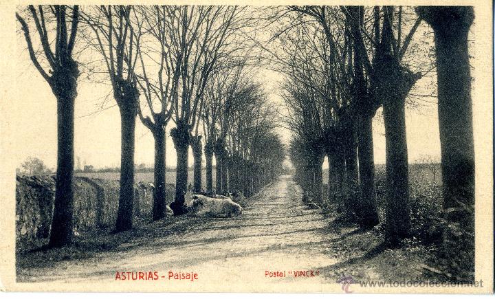 Postais: POSTAL ASTURIAS - PAISAJE. PHOTOGRAPHIE ARTISITIQUE VINCK.