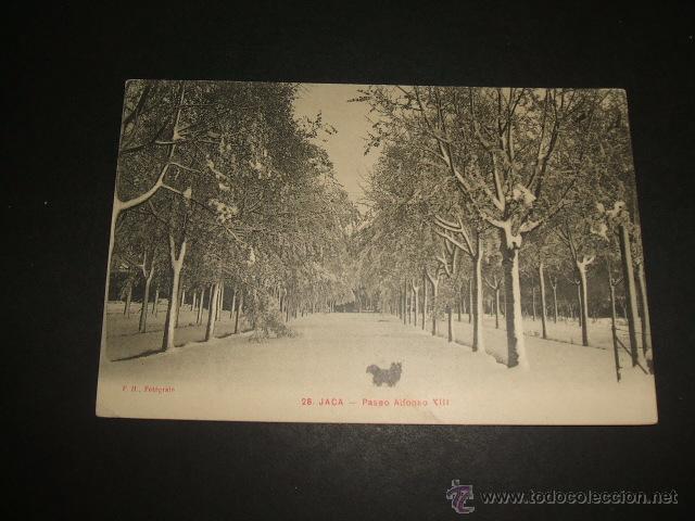 Postales: JACA HUESCA PASEO DE ALFONSO XIII - Foto 1