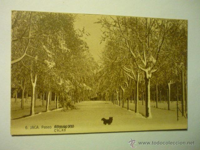 Postales: postal jaca.-paseo alfonso XIII - escrita bb