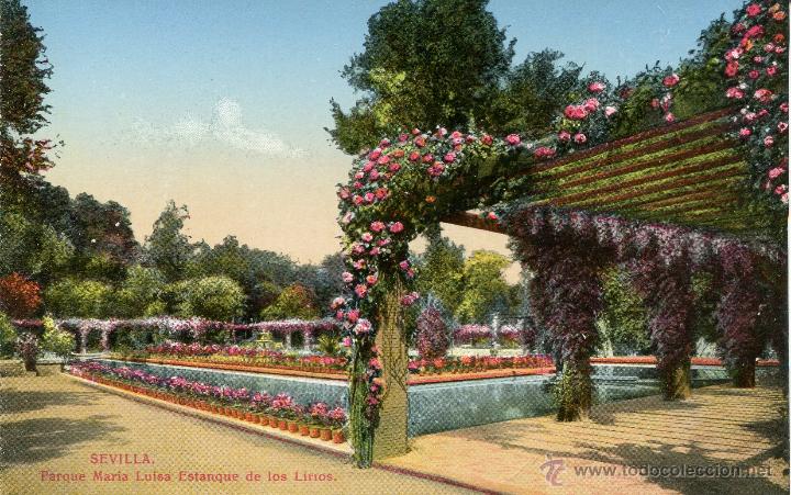 Postales: SEVILLA-PARQUE M&ordf; LUISA-ESTANQUE  LOS LIRIOS--CRS-11B - Foto 1