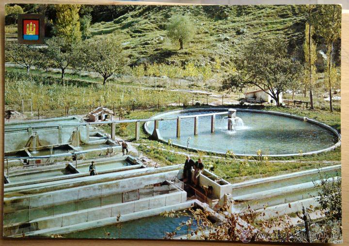 Postales: VILLARLUENGO - PISCIFACTORIA - Foto 1