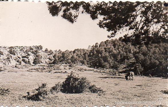 Postales: Orihuela del Tremedal - Residencia Productores - Padre Polanco