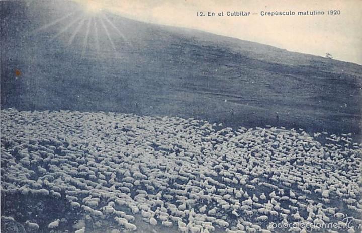 Cartoline: EN EL CUBILAR- CREP&Uacute;SCULO MATUTINO 1920