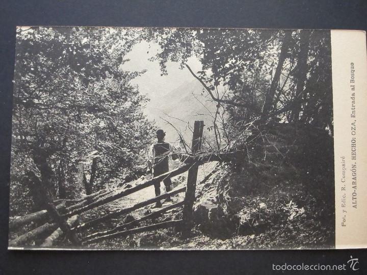 Postales: POSTAL SIN CIRCULAR: OZA. ENTRADA AL BOSQUE - Foto 1