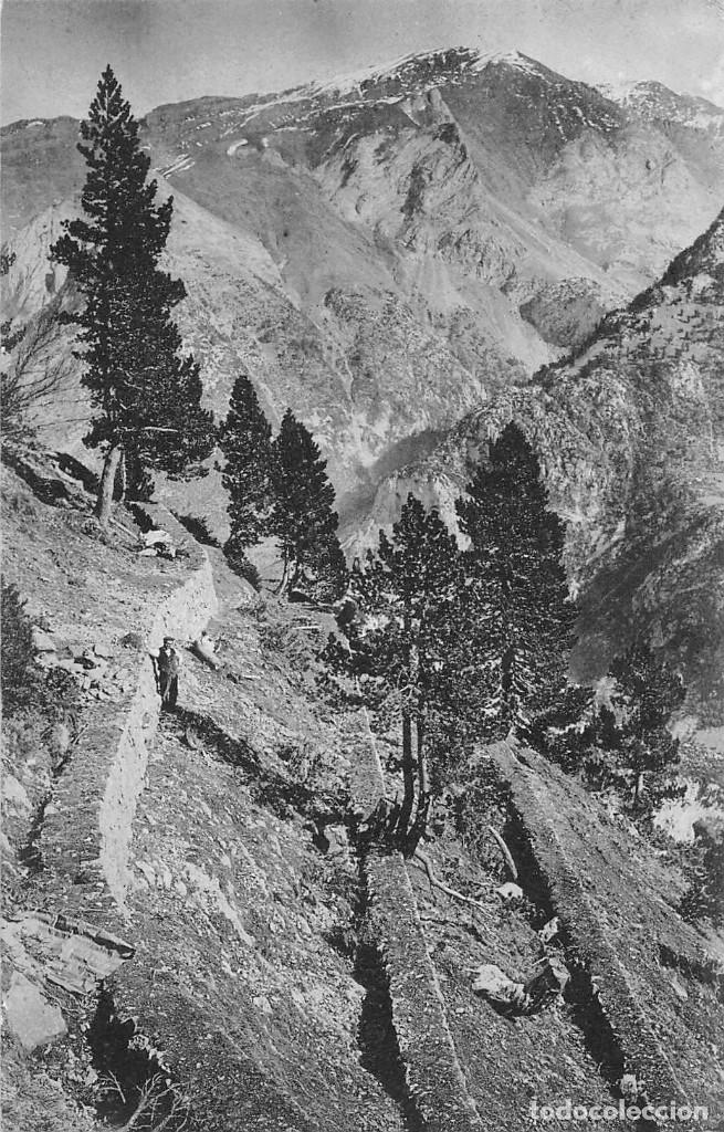 Postales: TORRENTE ESTIVIELLAS.-MUROS CONTRAALUDES PARA FIJACION DE LA NIEVE