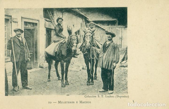 Postales: PIRINEOS. MULETEROS Y MACHOS. IMPRESA EN LUCHON. HACIA 1900.