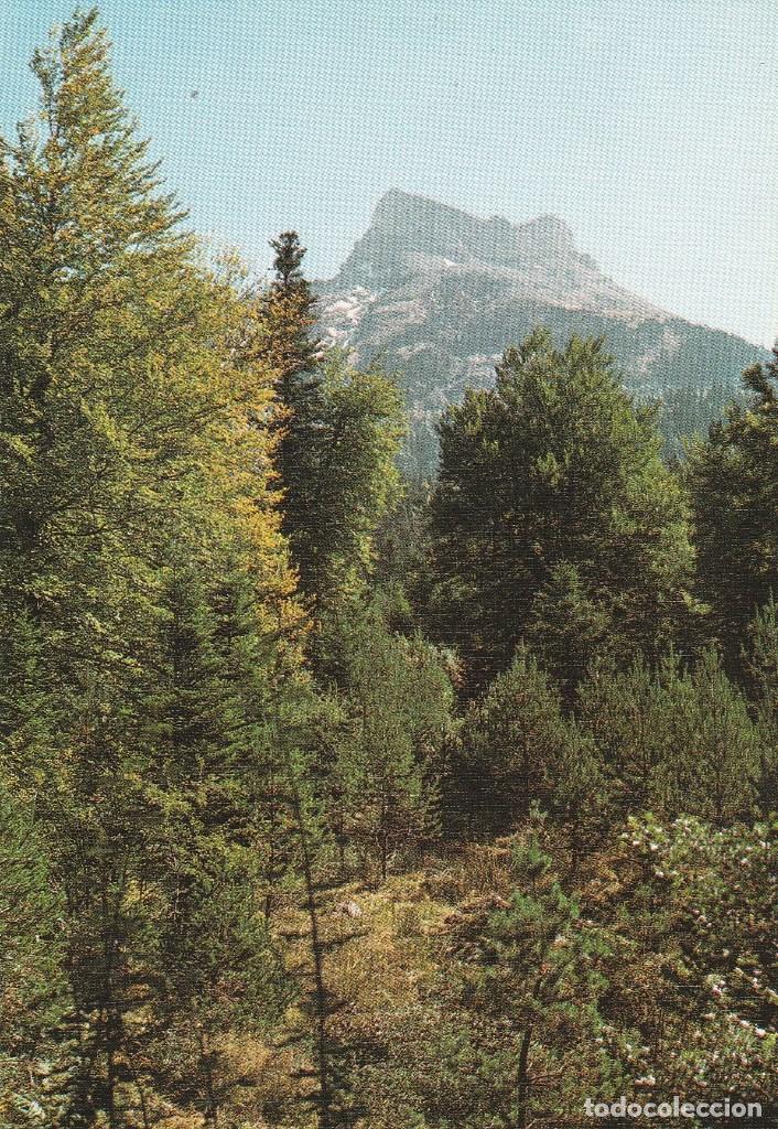 Cartes Postales: N&ordm; 28973 POSTAL HECHO PIRINEO ARAGONES