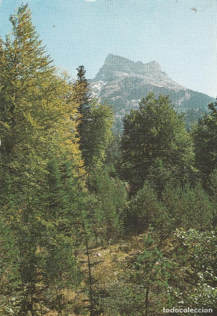 Cartes Postales: N&ordm; 9143 POSTAL HECHO SELVA DE OZA PIRINEO ARAGONES