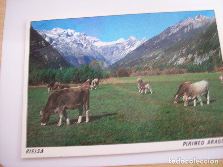 Postkarten: BIELSA.VALLE DE PINETA. Edicions A. Campa&ntilde;a n&ordm; ME 347