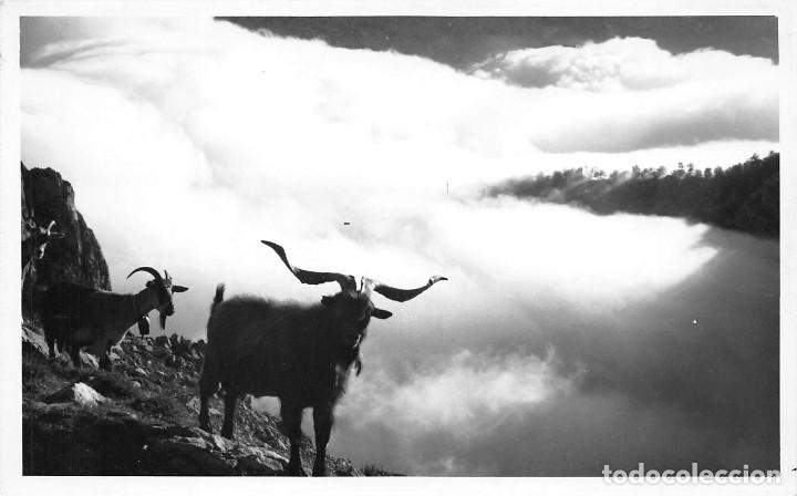 Postales: ORDESA- FOTOGRAF&Iacute;A