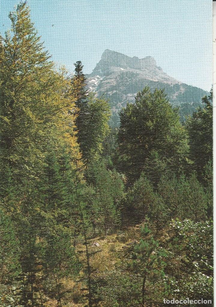 Postkarten: N&ordm; 18935 POSTAL HECHO PIRINEO ARAGONES SELVA DE OZA