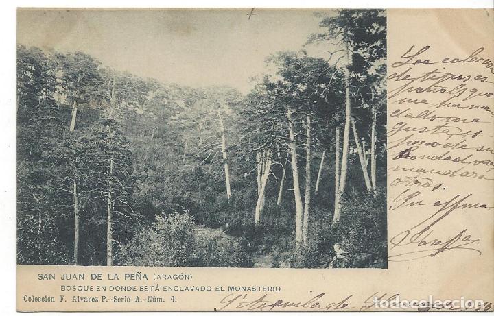 Postkarten: POSTAL SAN JUAN DE LA PE&Ntilde;A (ARAG&Oacute;N). BOSQUE EN DONDE EST&Aacute; ENCLAVADO EL MONASTERIO. 1910.