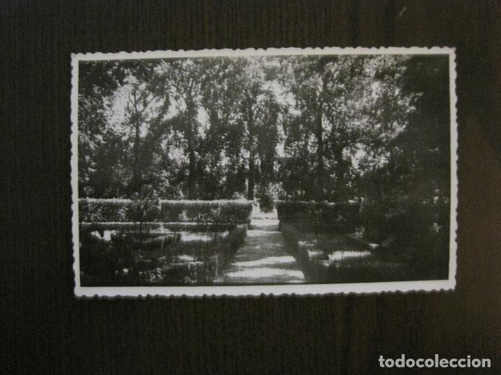 Postcards: PEDROLA- POSTAL FOTOGRAFICA ANTIGUA -VER FOTOS-(52.904)