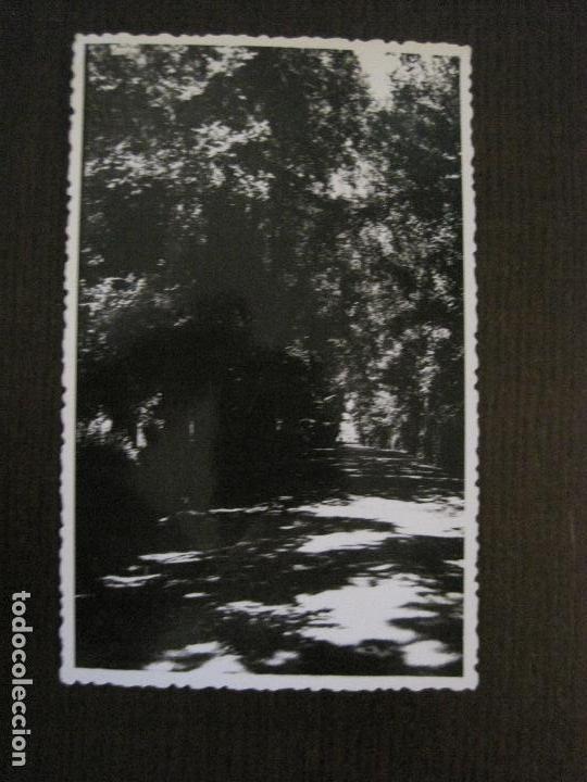 Postcards: PEDROLA- POSTAL FOTOGRAFICA ANTIGUA -VER FOTOS-(52.906)