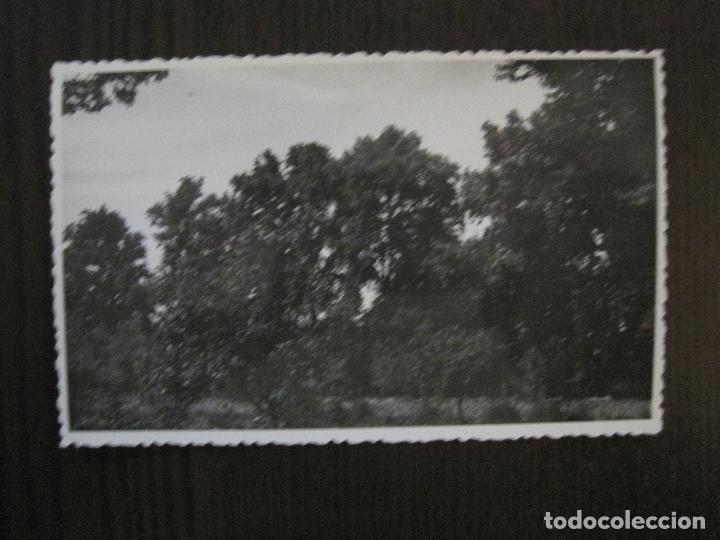 Postcards: PEDROLA- POSTAL FOTOGRAFICA ANTIGUA -VER FOTOS-(52.907)