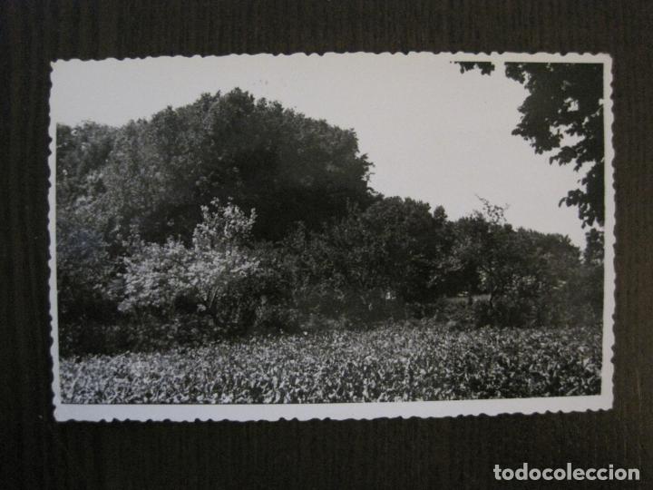 Postcards: PEDROLA- POSTAL FOTOGRAFICA ANTIGUA -VER FOTOS-(52.908)