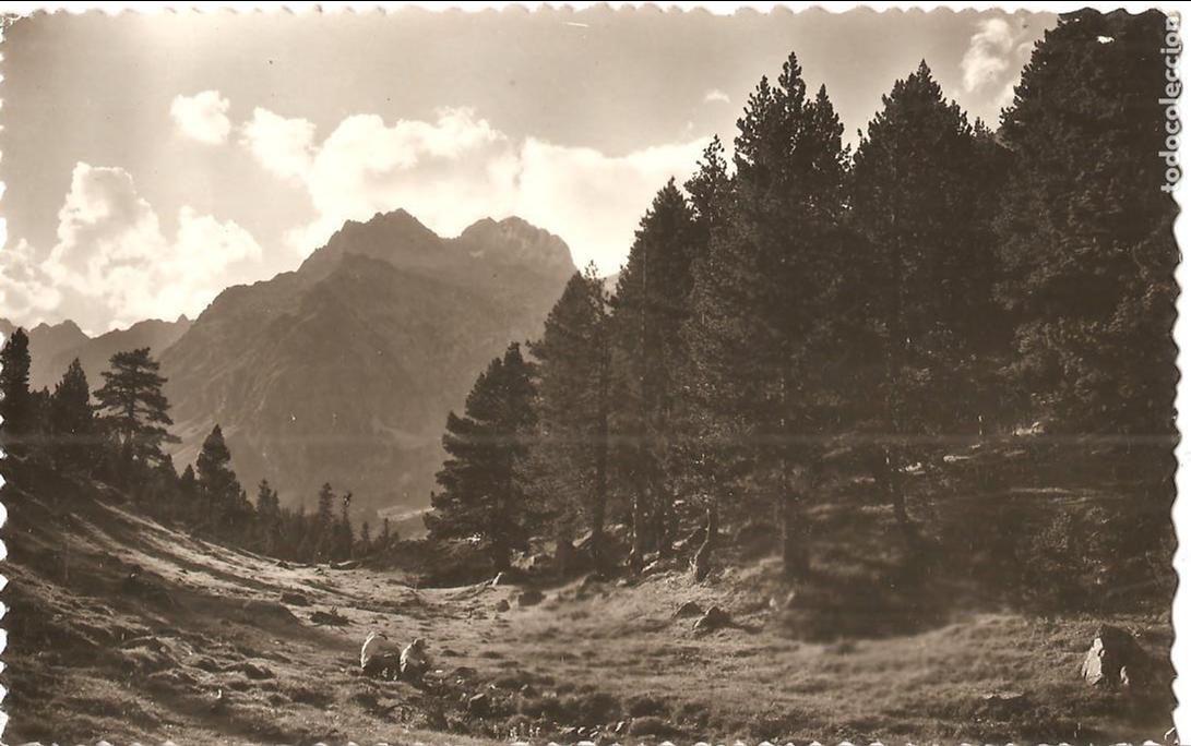 Postales: POSTAL, BENASQUE-HUESCA, VALLE DE ESTOS, RUTA BATISIELLES, ED. SICILIA,