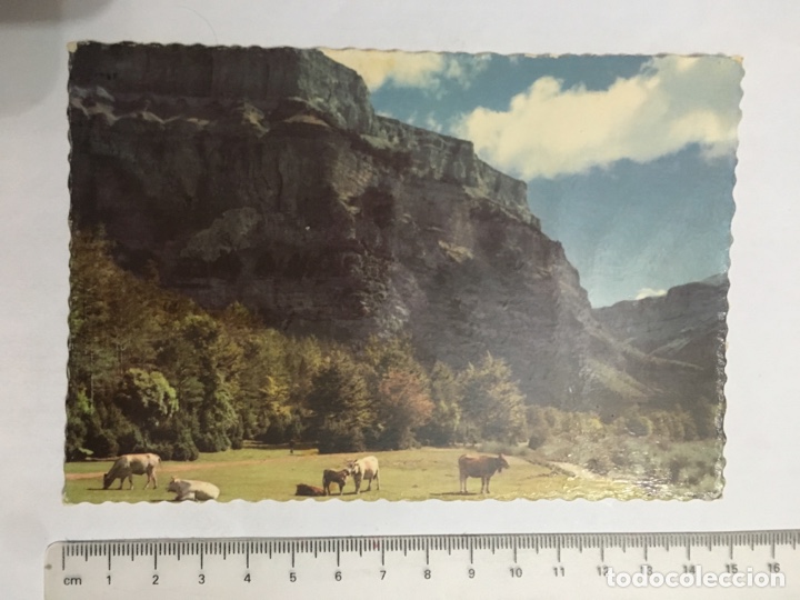 Postales: POSTAL. ORDESA. PARQUE NACIONAL. GARC&Iacute;A GARRABELLA. H. 1960?