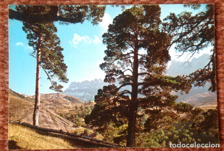 Postales: ANSO - VALLE DE ZURIZA - Foto 1