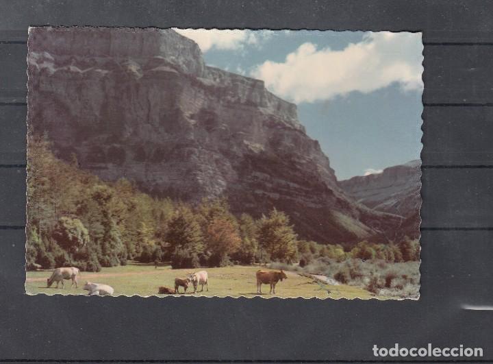 Postales: 313 - PARQUE NACIONAL DE ORDESA