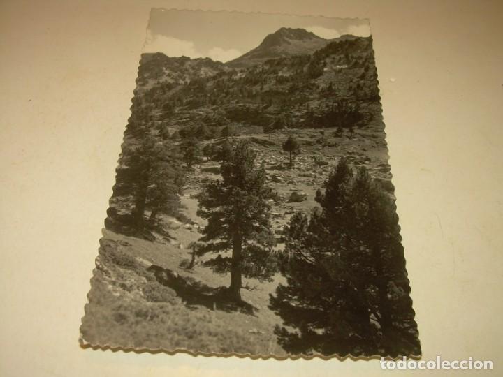 Postales: ANTIGUA POSTAL.........BENASQUE. - Foto 1