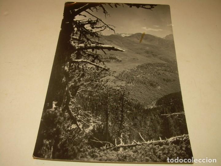 Postales: ANTIGUA POSTAL.......BENASQUE. - Foto 1