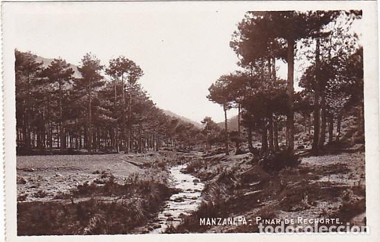 Postales: POSTAL MANZANERA PINAR DE RECHORTE - Foto 1
