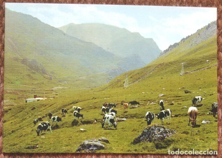 Postales: CANDANCHU - PASTOREO EN LAS LADERAS DEL TOBAZO