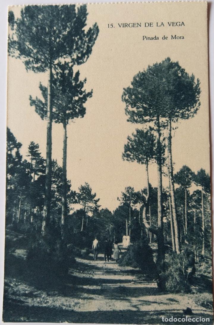 Postales: VIRGEN DE LA VEGA - Foto 1