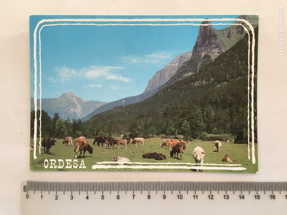 Postales: POSTAL. PARQUE NACIONAL DE ORDESA. LA TENDE&Ntilde;ERA. ED. SICILIA. H. 1980?.
