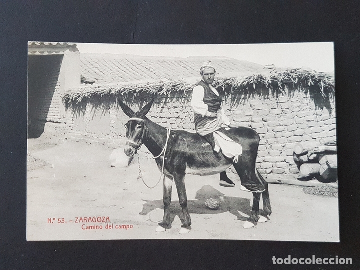 Postales: ZARAGOZA CAMINO DEL CAMPO - Foto 1
