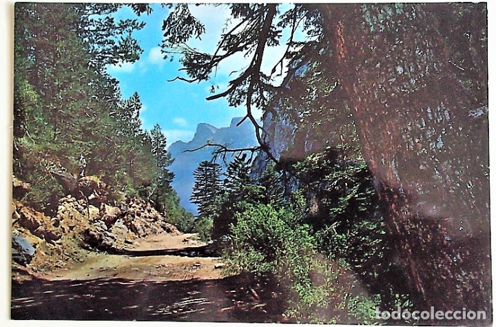 Postales: Torla-Bujaruelo. 3 Carretera Bujaruelo-Ordesa. Al fondo, Las Proas. Ed. Sicilia. Nueva. Color