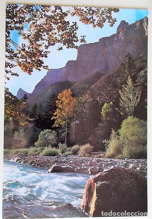 Postales: Parque Nacional de Ordesa. 268 R&iacute;o Arazas. Foto Pa&ntilde;arroya. Nueva. Color