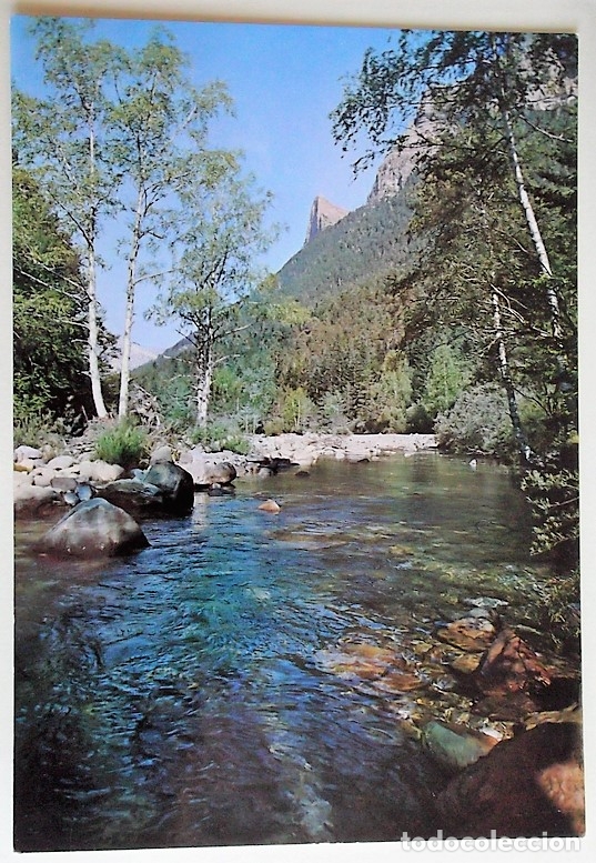 Postales: Parque Nacional de Ordesa. 46 R&iacute;o Arazas. Al fondo, Tozal del Mallo. Ed. Sicilia. Nueva. Color