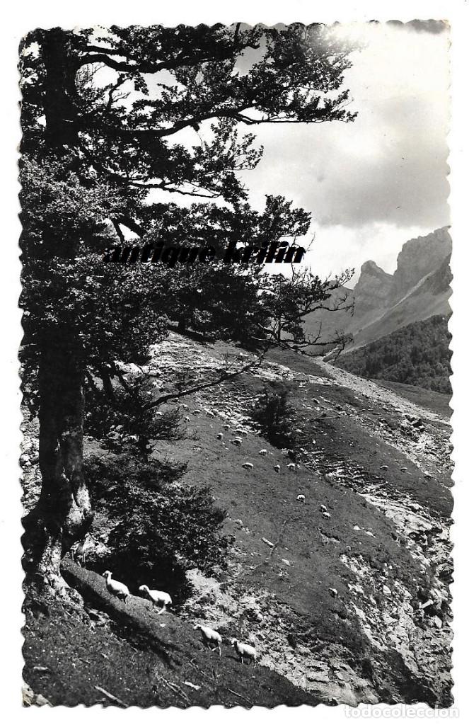 Postales: VALLE DE ZURIZA N&ordm; 4 VISTA PARCIAL .- ANS&Oacute; .- EDICIONES SICILIA