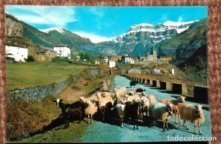 Postales: TORLA - HUESCA - Foto 1