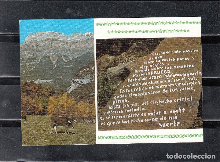Postales: N&ordm; 116 VALLE BROTO. MONDARUEGO