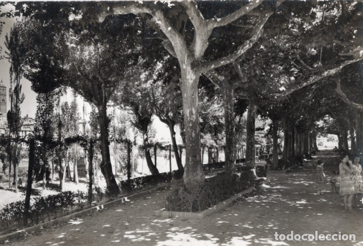 Postales: tarazona. 31 parque de pradier - Foto 1