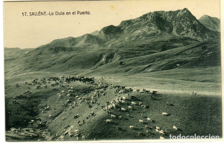 Postales: POSTAL SALLENT (HUESCA) - LA DULA EN EL PUERTO - Foto 1