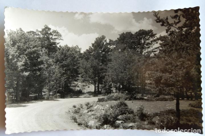 Postales: BRONCHALES - Foto 1