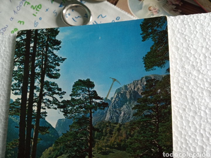 Postales: Anso - Foto 2