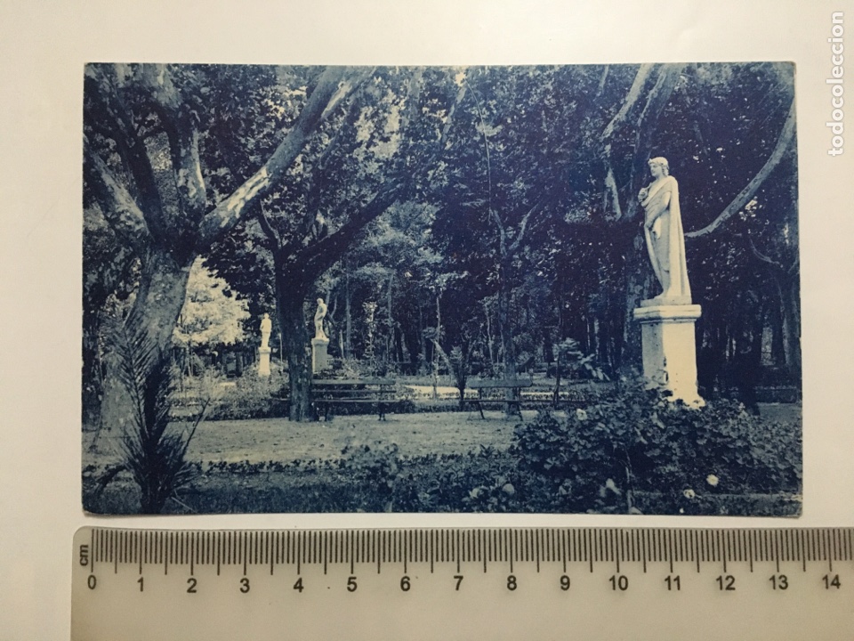 Postkarten: POSTAL. TERMAS PALLARES. ALHAMA DE ARAG&Oacute;N. JARDINES Y PARQUE. FOT&Oacute;GRAFO?. H. 1920?.