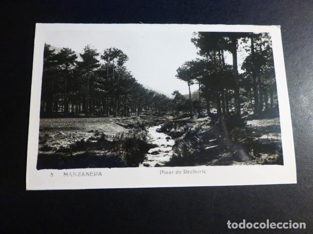 Postales: MANZANERA TERUEL PINAR DE RECHORTE - Foto 1