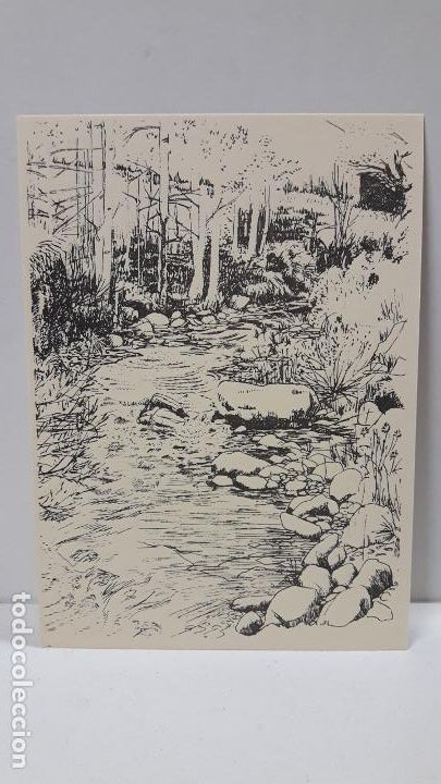 Postales: RIO ISABENA . DIBUJO M. LACOMA . EDITA D. SUBIAS. SIN CIRCULAR
