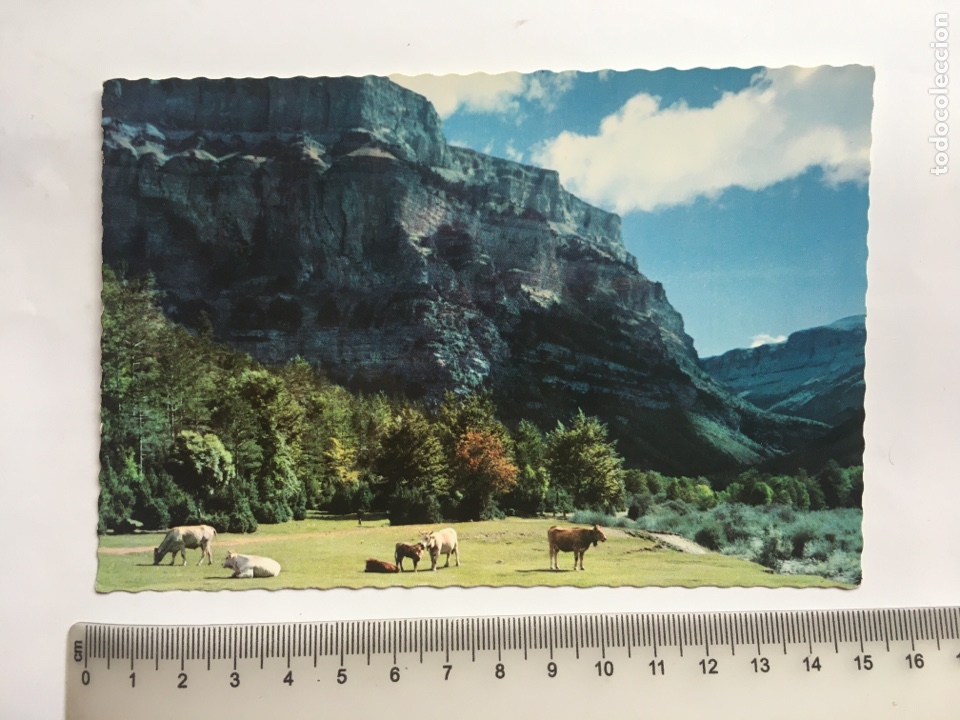 Postales: POSTAL. PARQUE NACIONAL DE ORDESA. GARC&Iacute;A GARRABELLA Y C&Iacute;A.