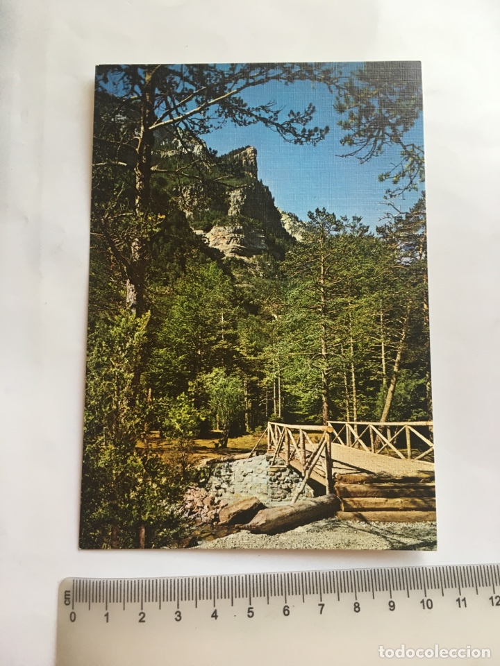 Postales: POSTAL. PARQUE NACIONAL DE ORDESA. PUENTE SOBRE EL R&Iacute;O ARAZAS. LA PROA. EDICIONES SICILIA.