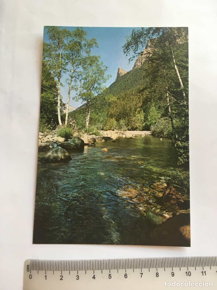 Postales: POSTAL. PARQUE NACIONAL DE ORDESA. R&Iacute;O ARAZAS. TOZAL DE MALLO. EDICIONES SICILIA.