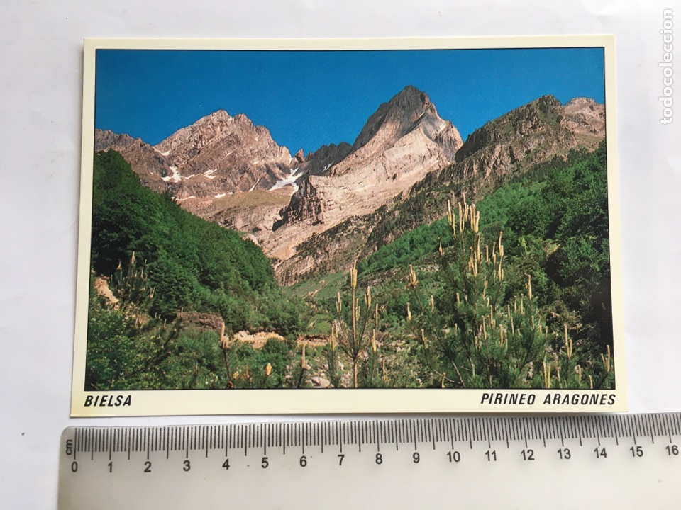 Postales: POSTAL. BIELSA. VALLE DE PINETA. EDICIONES A. CAMPA&Ntilde;A. - Foto 1